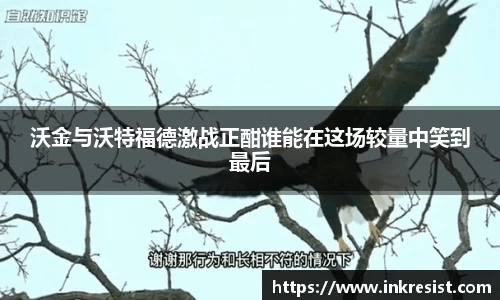 威廉希尔体育